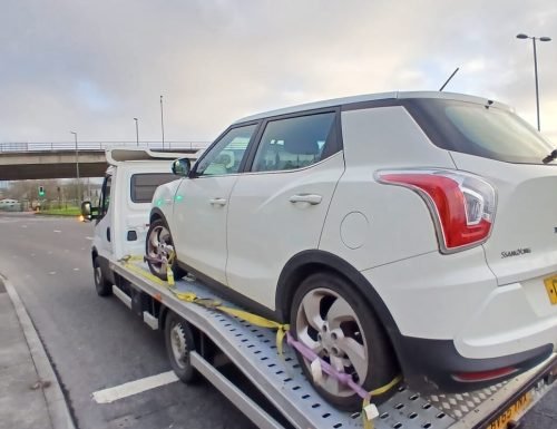 WhatsApp Image 2026-02-10 at 11.56.37 AM