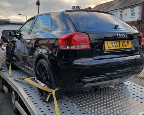 WhatsApp Image 2026-02-10 at 11.56.39 AM